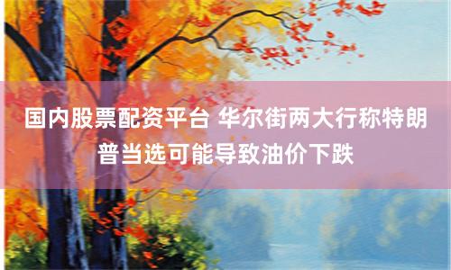 国内股票配资平台 华尔街两大行称特朗普当选可能导致油价下跌