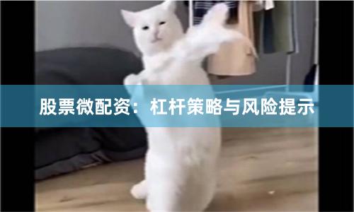 股票微配资：杠杆策略与风险提示