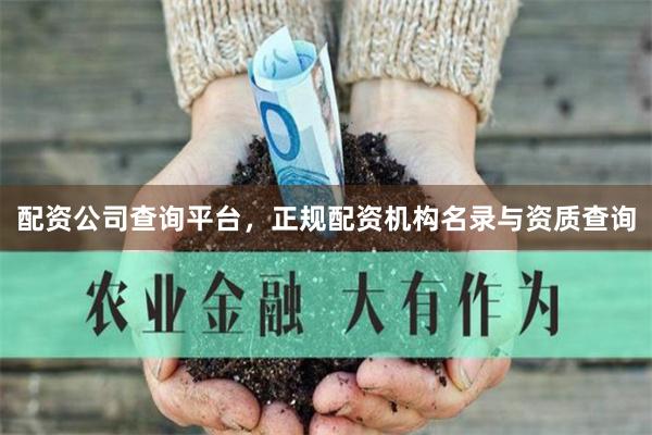 配资公司查询平台，正规配资机构名录与资质查询