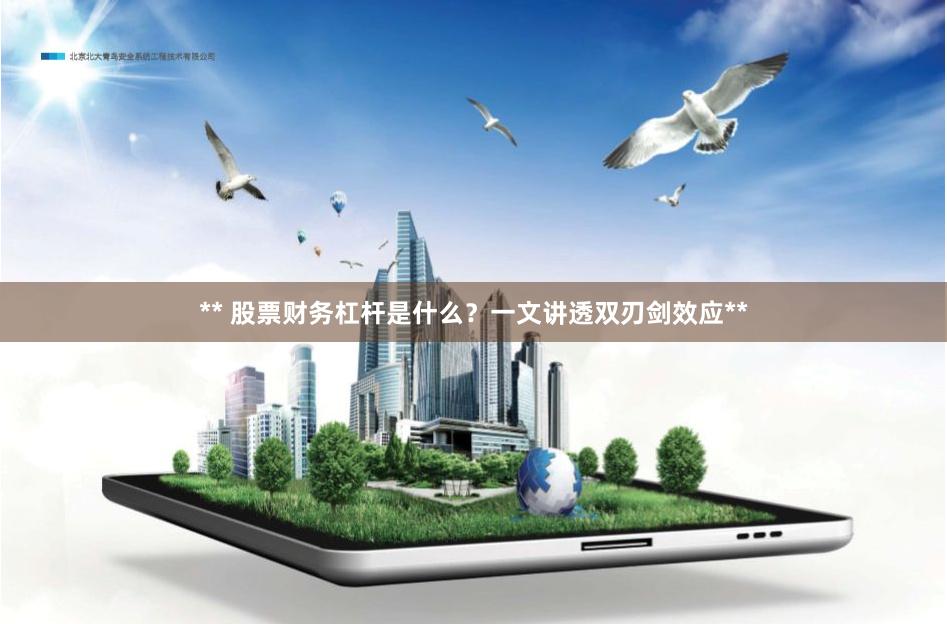 ** 股票财务杠杆是什么？一文讲透双刃剑效应**